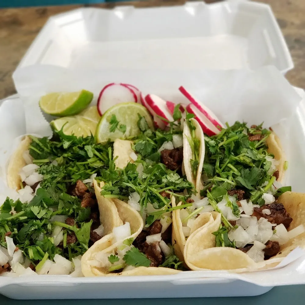 Carne Asada Tacos with Onions and Cilantro